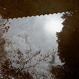 水たまり