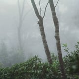 靄