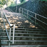 初夏の抜け道