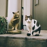 かわいい子とかわいい置物