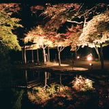 水面の紅葉