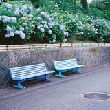 写真スポット