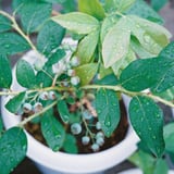 水分補給