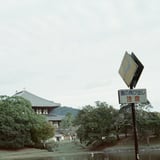 飛び出し注意