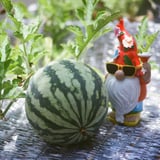 夏のはじまり