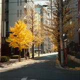 いまだけは主役