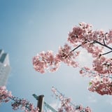 春のはじまり