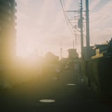 夕日にとける
