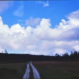 雲の世界