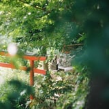 秘密の場所
