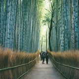 竹林の小径