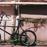 kyoto snap