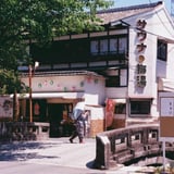 kyoto snap