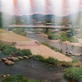 夏の鴨川