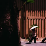 kyoto snap