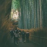 竹林の小径