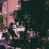 kyoto snap