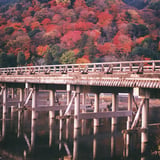 嵐山の紅葉