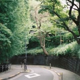 緑を探して。