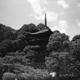 瑠璃光寺　五重塔
