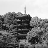瑠璃光寺