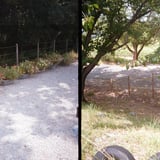 花壇と錆びた鉄棒