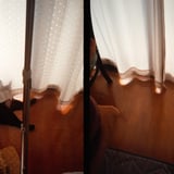猫とカーテン