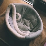 猫の住処