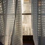 lace curtainとそと