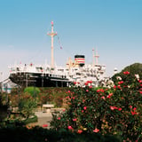 氷川丸🚢