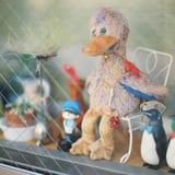 Show window