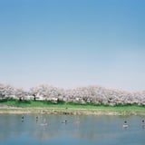 流れゆく