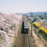 春を乗せて