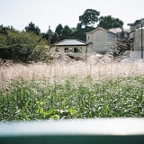 秋の頃