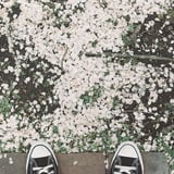 雨のあと。