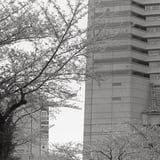 今も昔も。