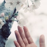 春の頃。
