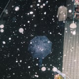 帰途。