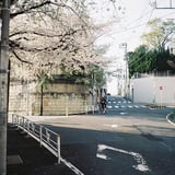 春の頃。