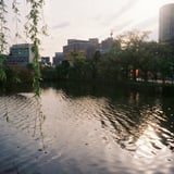 上野にて。