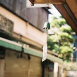 江ノ島にて。