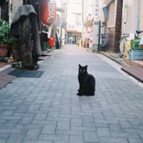 路上にて。