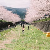 春の頃