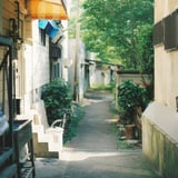 静かな朝