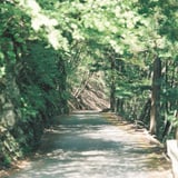 山と光