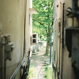 路地から見える緑