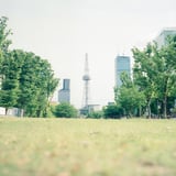 ミライタワー