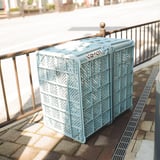 朝の日差し