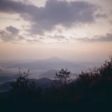 柔らかい朝