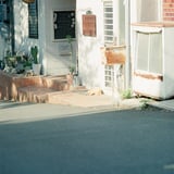 まだまだ眠たい朝